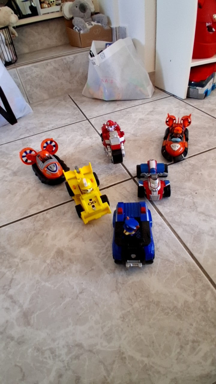 Paw Patrol Spielzeugauto